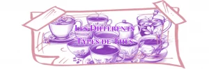 Lire la suite à propos de l’article Les Différents Types de Thés