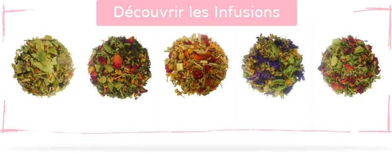 Liste des infusions sans théine | Paradis Rose
