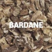 Bardane