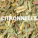 Citronnelle