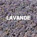 Lavande