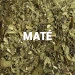Maté Vert