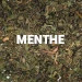 Menthe
