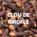 Clou de girofle