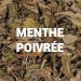 Menthe Poivrée