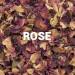 Pétales de rose
