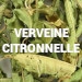 Verveine Citronnelle
