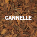 Cannelle