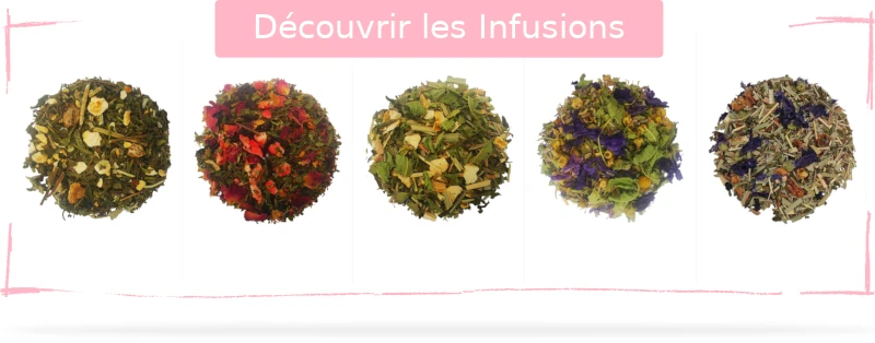 Liste des infusions | Paradis Rose
