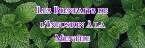 Lire la suite à propos de l’article Les Bienfaits de l’Infusion à la Menthe