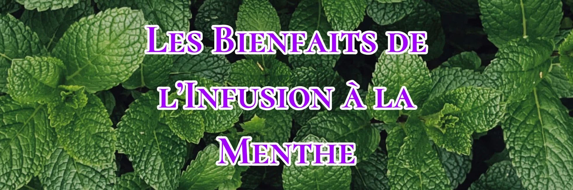You are currently viewing Les Bienfaits de l’Infusion à la Menthe