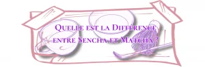 Lire la suite à propos de l’article Quelle est la Différence entre Sencha et Matcha ?