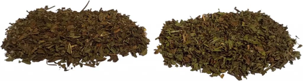 Menthe Poivrée et Menthe Verte | Paradis Rose
