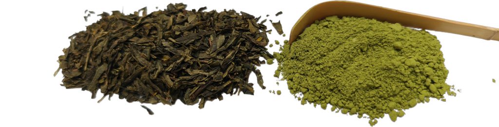 Sencha vs Matcha | Paradis Rose