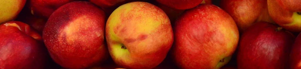 Bienfaits de la pomme | Paradis Rose