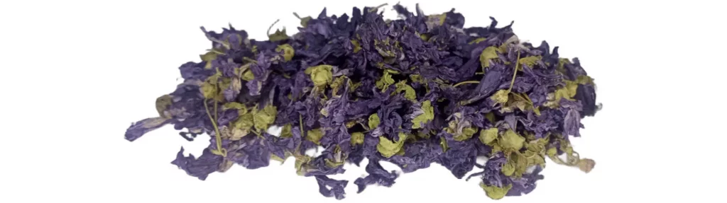 Mauve séchée | Paradis Rose