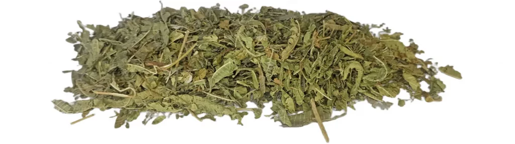 Verveine Odorante Séchée | Paradis Rose