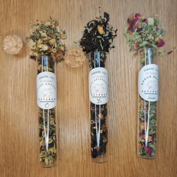 Box infusions Automnale | Paradis Rose
