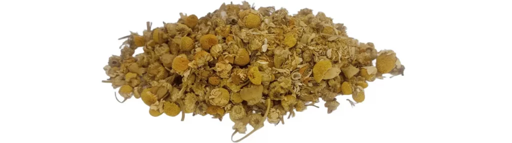Fleur Camomille séchée | Paradis Rose