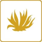 Box Trio Infusions Détox | Paradis Rose