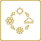 Box Trio Infusions Saisons | Paradis Rose